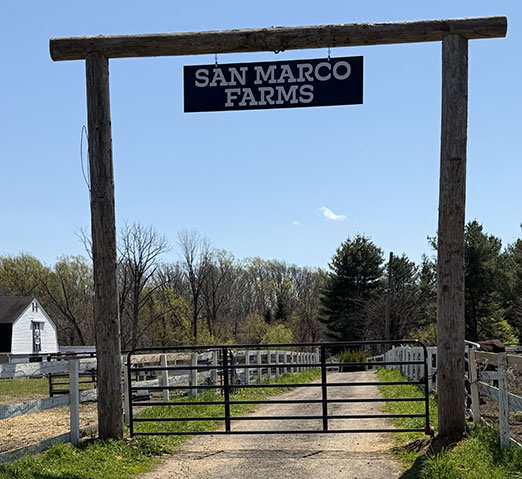 San Marco Farms